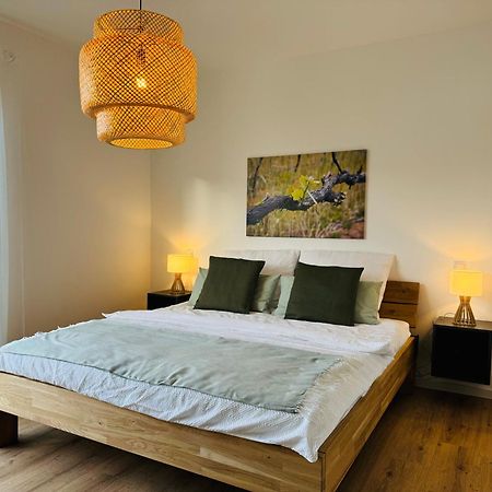 Moderne Ferienwohnung Mit Terrasse, Grill & Privatparkplatz Venningen Exteriér fotografie